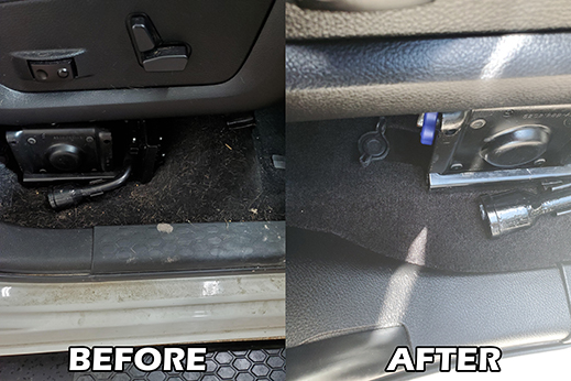 pethairbeforeafter_edit